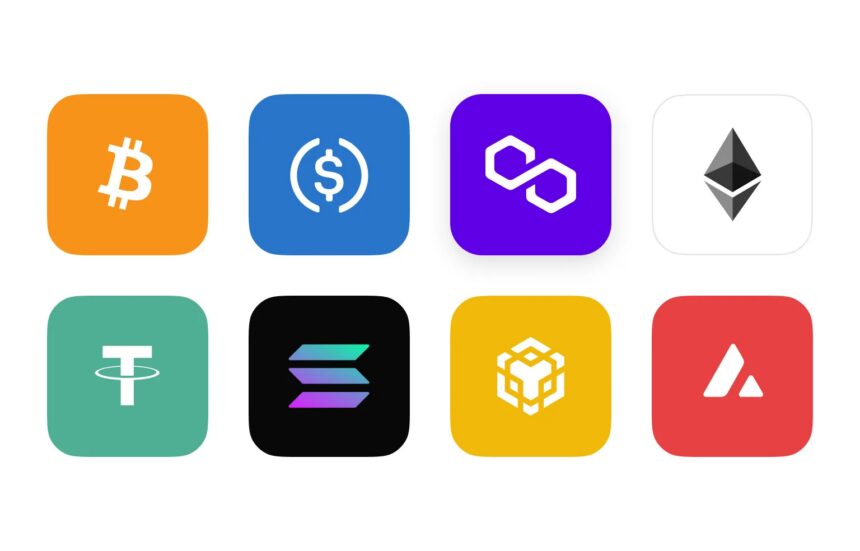 10 Best Multi-Chain Crypto Subscription Billing Software 2026