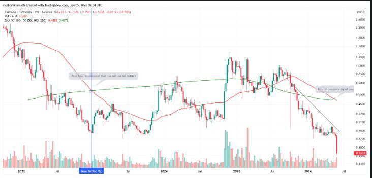 Cardano Emulates 30% Crash and 2022 Bottom Signal
