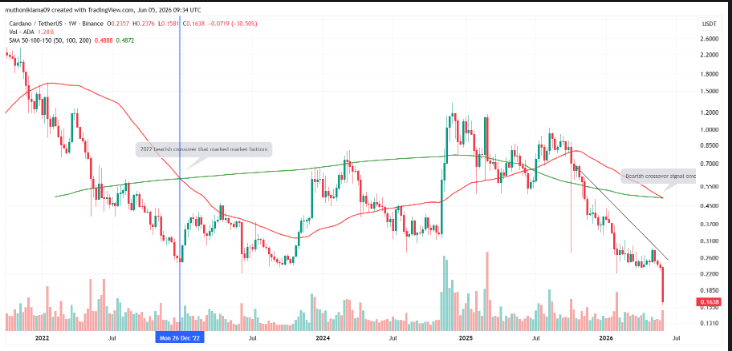 Cardano Emulates 30% Crash and 2022 Bottom Signal