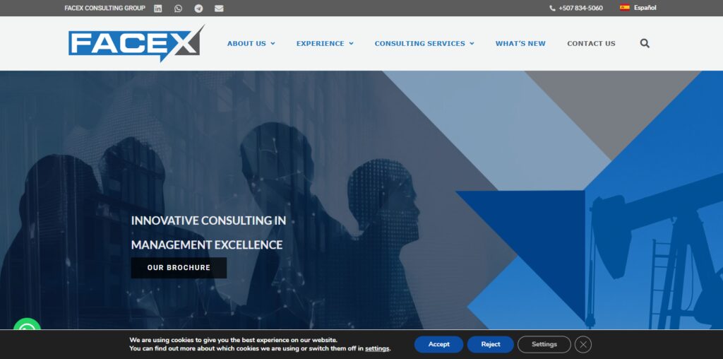 FACEX Consulting Group