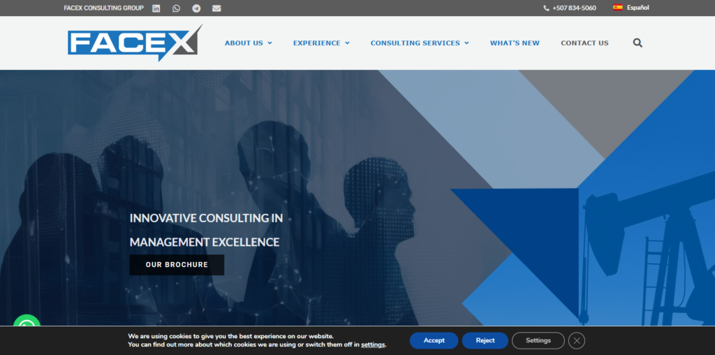 FACEX Consulting Group