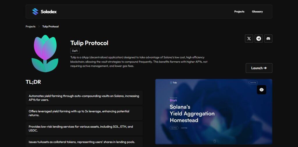 10 Best Solana Liquidity Pools for High Staking Yields 9 Tulip Protocol
