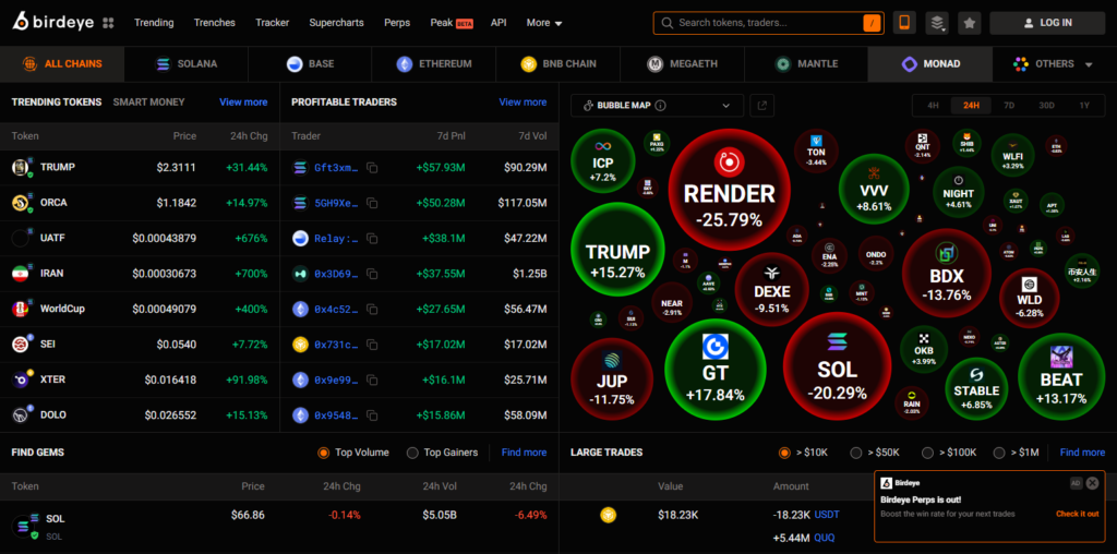 10 Best Meme Coin Scanners for Early Liquidity Pools 5 Birdeye