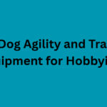 10 Best Dog Agility and Training Equipment for Hobbyists