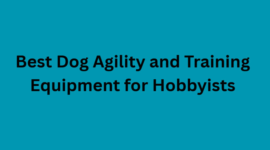 10 Best Dog Agility and Training Equipment for Hobbyists