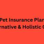 10 Best Pet Insurance Plans for Alternative & Holistic Care