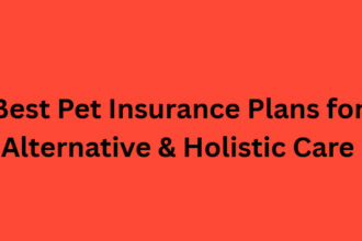 10 Best Pet Insurance Plans for Alternative & Holistic Care