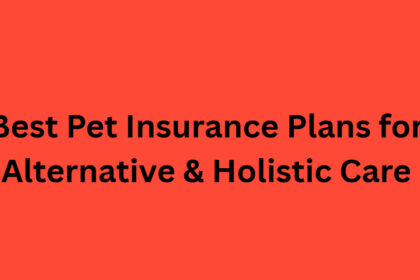 10 Best Pet Insurance Plans for Alternative & Holistic Care