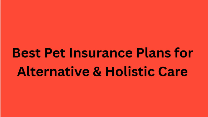 10 Best Pet Insurance Plans for Alternative & Holistic Care