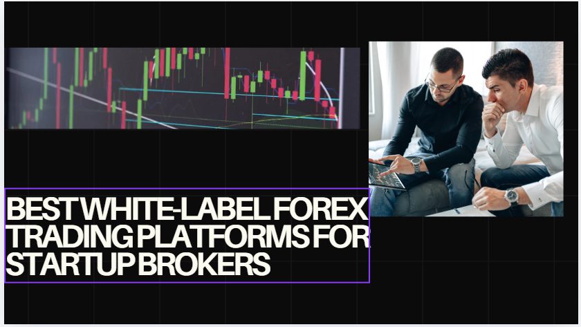 10 Best White-Label Forex Trading Platforms for Startup Brokers