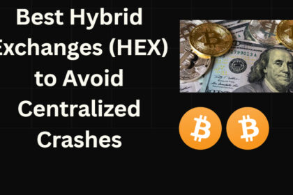 10 Best Hybrid Exchanges (HEX) to Avoid Centralized Crashes