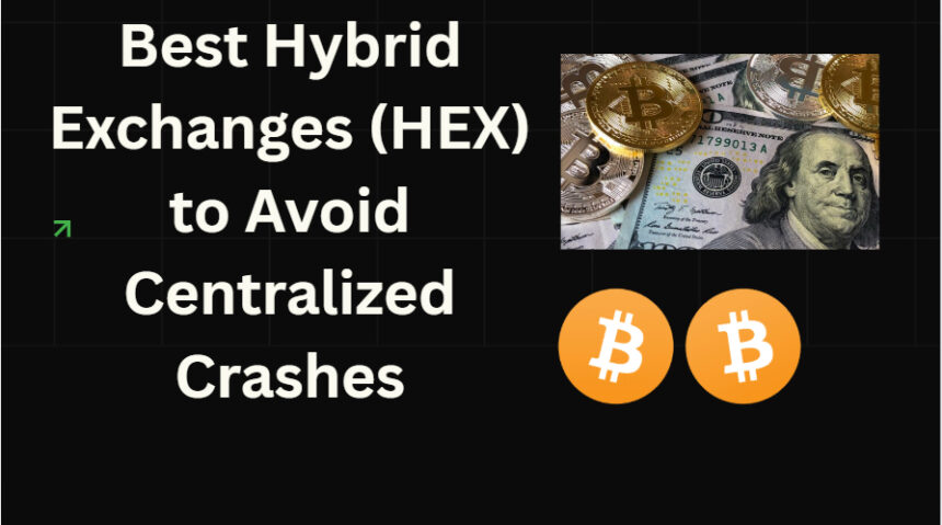 10 Best Hybrid Exchanges (HEX) to Avoid Centralized Crashes