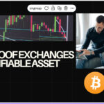 10 ZK Proof Exchanges for Verifiable Asset Audits