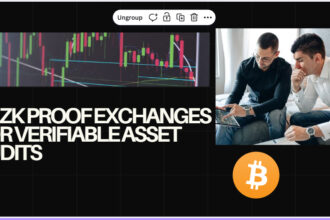 10 ZK Proof Exchanges for Verifiable Asset Audits