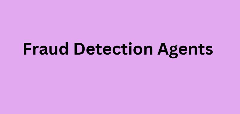 Fraud Detection Agents