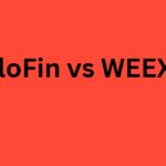 BloFin vs WEEX: Best Crypto Futures Trading Exchange 2026