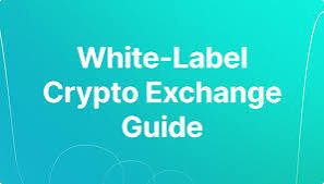 10 Best White Label Brokerage Solutions for 2026