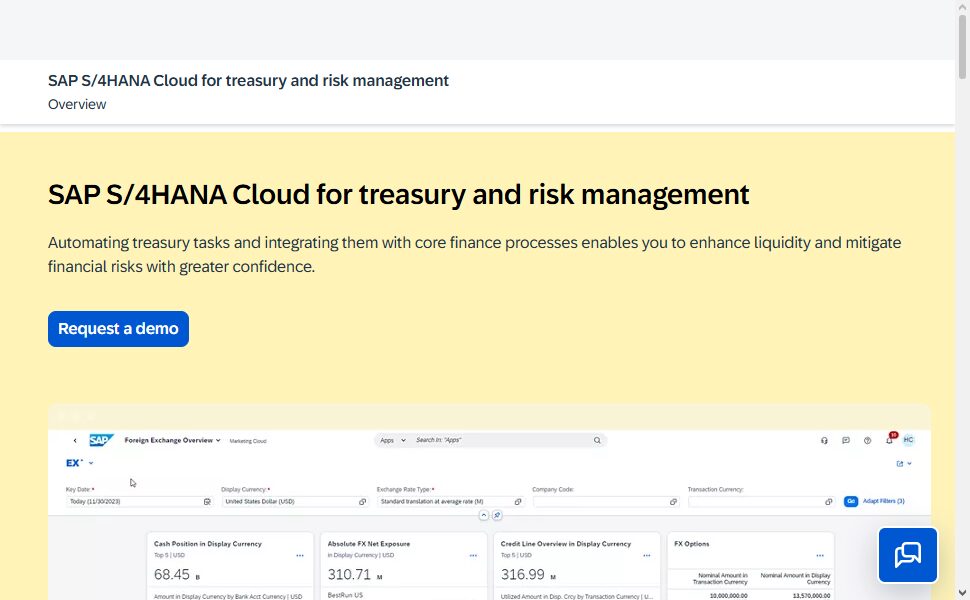 SAP Treasury and Risk Management