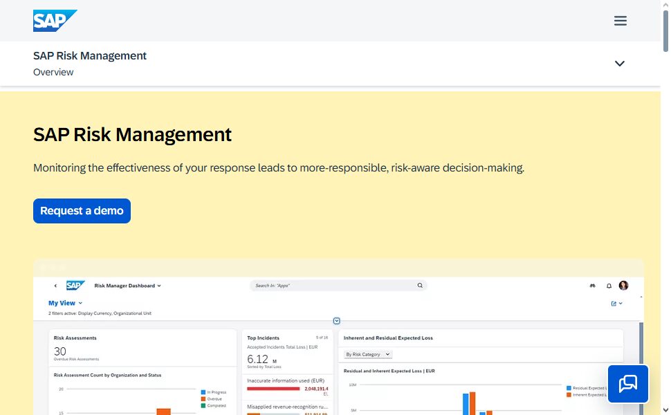 SAP Risk Managemen