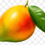 alfanzo