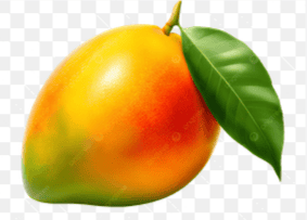 alfanzo