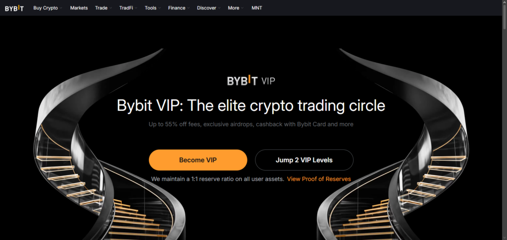 Bybit VIP