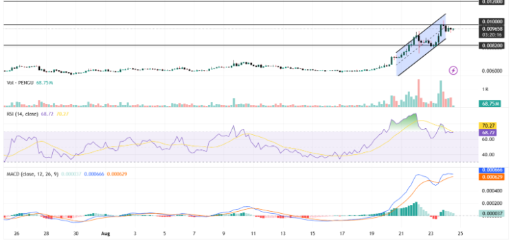 NFT Activity Returns as Weekly Volume Rises 244%