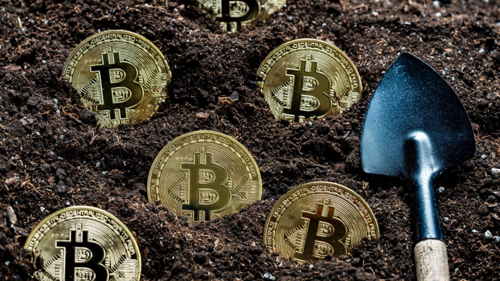 What Is a Crypto Prenuptial Agreement?