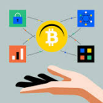 Crypto-Backed Business Lines of Credit Compared