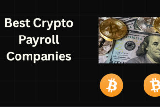 10 Best Crypto Payroll Companies
