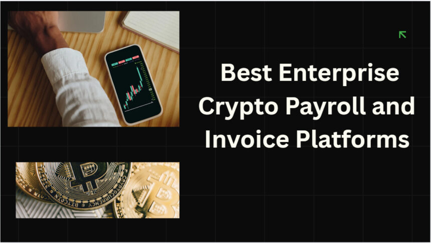 10 Best Enterprise Crypto Payroll and Invoice Platforms