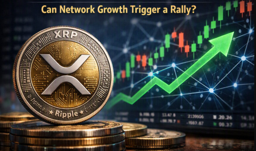 XRP Price Outlook This Week: Can Network Growth Trigger a Rally?