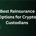 10 Best Reinsurance Options for Crypto Custodians in 2026