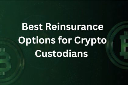 10 Best Reinsurance Options for Crypto Custodians in 2026