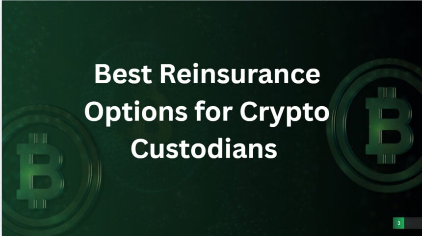 10 Best Reinsurance Options for Crypto Custodians in 2026