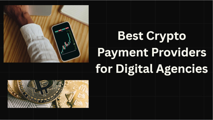 10 Best Crypto Payment Providers for Digital Agencies in 2026