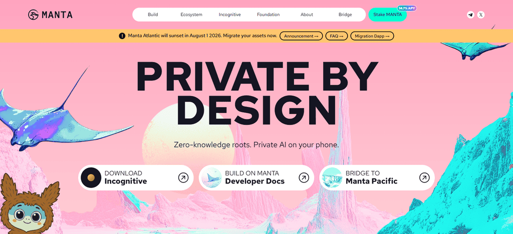 Manta Network