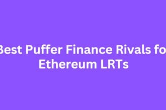 10 Best Puffer Finance Rivals for Ethereum LRTs