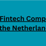 10 Best Fintech Companies in the Netherlands in 2026