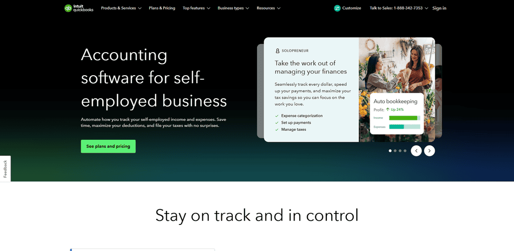 Solopreneur QuickBooks