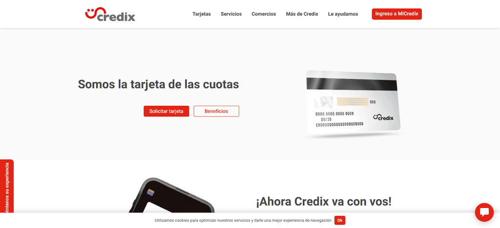 Credit Score