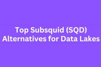 9 Top Subsquid (SQD) Alternatives for Data Lakes