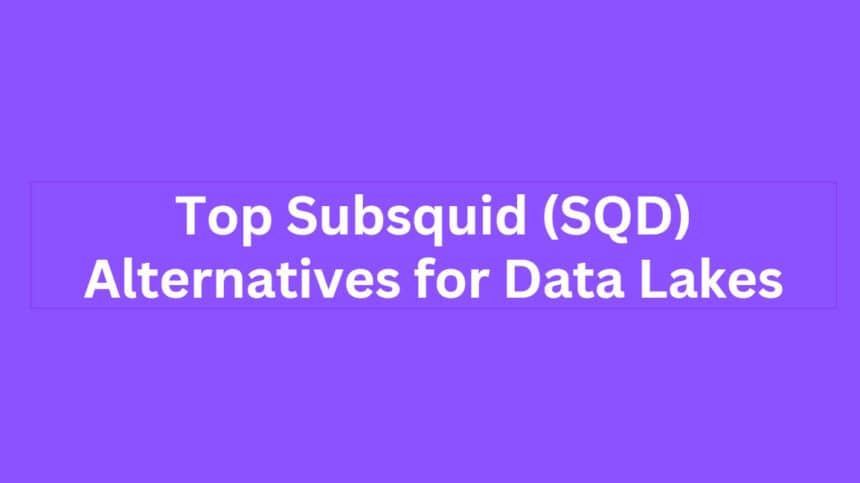 9 Top Subsquid (SQD) Alternatives for Data Lakes