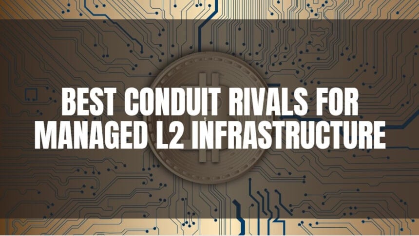 10 Best Conduit Rivals for Managed L2 Infrastructure