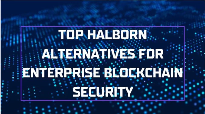 10 Top Halborn Alternatives for Enterprise Blockchain Security