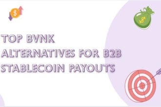 10 Top BVNK Alternatives for B2B Stablecoin Payouts