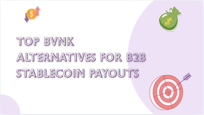 10 Top BVNK Alternatives for B2B Stablecoin Payouts