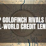 10 Top Goldfinch Rivals for Real-World Credit Lending