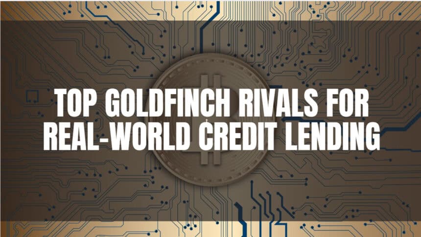 10 Top Goldfinch Rivals for Real-World Credit Lending