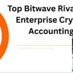 10 Top Bitwave Rivals for Enterprise Crypto Accounting